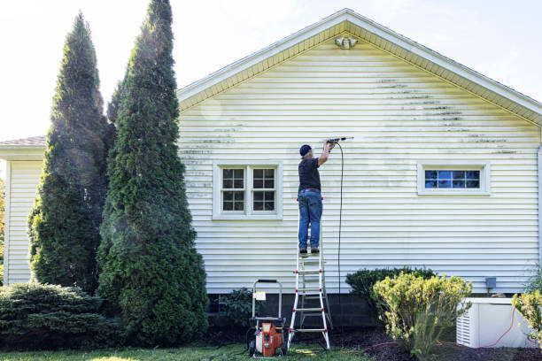 Best Driveway Pressure Washing  in Marfa, TX